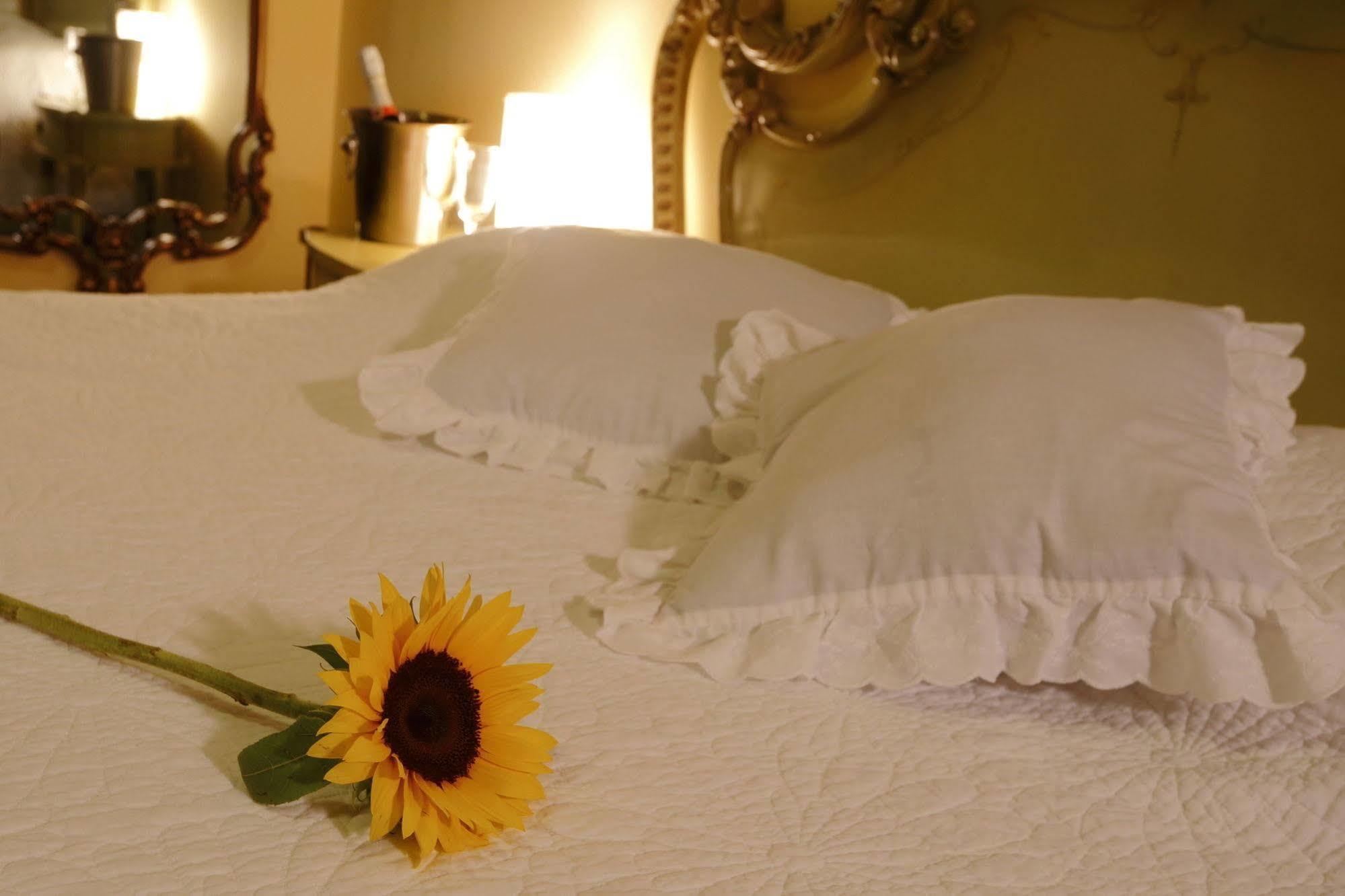 Bed & Breakfast - La Casa De Ceci Distretto di Distretto di Lima Esterno foto